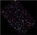 Herschel Space Telescope Helps in Studying Evolution of Galaxies