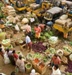 India Employs AB SCIEX's Mass Spectrometry Solution to Enforce Food Safety Standards