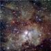 ESO Releases VLT Image of Giant Stellar Nursery That Surrounds NGC 3603