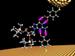 Researchers Develop Versatile DNA Reader Using Electrodes in Microscope