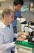 Origin of Stem Cells Identified by Biologists Using Microscopic Image of Zebrafish Embryos
