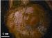 Laser Ablation Technique Preserves Paintings and Sculptures