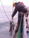 Chelsea Fast Repetition Rate Fluorimeter Becomes the Tool of Choice in Ocean Studies