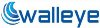 Walleye Introduces Novel See-Through Camera for Construction Industries
