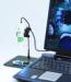 Cole-Parmer Offers Portable, Versatile Handheld Microscopes