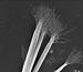 Exposure to Light Twists Nanoparticle Ribbons