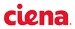 Ciena Acquires Optical Networking Assets from Nortel