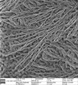 PNNL and AIST Selects ORION PLUS Microscope for Research Work