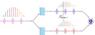 Physicists Use Optical Frequency Comb to Manipulate Quantum Bits