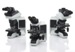 Olympus Unveils Upright Microscopes With Advanced Imaging Features