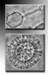 JEOL Brings Thin Film Phase Plate Technology for Transmission Electron Microscopes