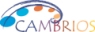 Cambrios Receives DOD Contract to Produce Lightweight, Flexible Solar Cells