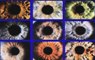 Two New Surveillance Cameras Built on Panoptes Imaging Technology