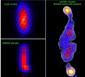 ASTRON to Use LOFAR Telescope to Study Evolution of the Universe