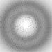 Special X-Ray Camera Successfully Photographs Dynamics of Photosynthesis