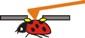 AFM Probe Records Sounds Originating from Insects