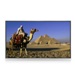 Samsung Marks Record Sales of DID Panels in April 2010