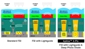 Aptina Enhances A-Pix FSI Image Sensor Solution; Plans to Launch BSI Technology
