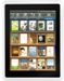 Pandigital Introduces First 7-Inch Color Multimedia eReader