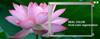 New TFT-LCD Modules from Mitsubishi Electric