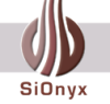 SiOnyx Presents New High Detectivity Photo Detectors