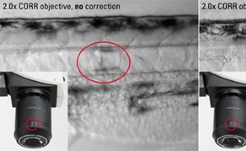 Stereo Microscope Objective for Imaging Specimens in Aqueous Solution Introduced by Leica Microsystems