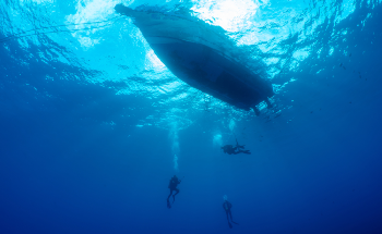 Blue Light Laser Technology Enhances Underwater Object Detection