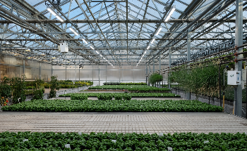 Standardized LED Lamps Could Help Make Indoor Crop Production More Sustainable
