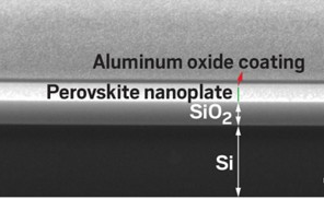 Waterproof Perovskite Lasers Can Probe Inside Cells