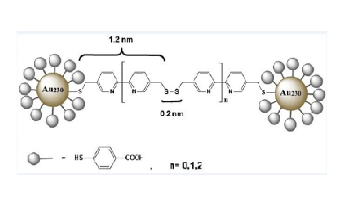 Spatially Resolved Imaging Used to Reveal Bond Between Bound Nanoclusters