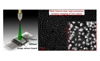Lens-Free Microscopy can Allow More Accurate Diagnoses of Diseases