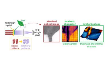 New Terahertz Camera Visualizes Interior of Objects with High Resolution