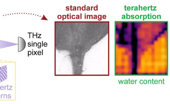 'Unseen' Detail Revealed by Camera That Combines Lasers and Terahertz Waves