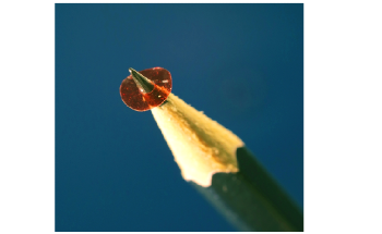 Researchers Develop New Light-Driven Miniaturized Rotary Micromotor