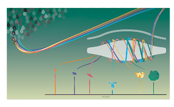 I2MS Technology Offers a Novel Way of Studying Single Molecules of Proteins