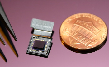 The Wasp-Eye-Inspired, Ultracompact, High-Resolution Camera