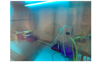 New Study Could Help Develop Optical Radiation Products to Disinfect Surfaces
