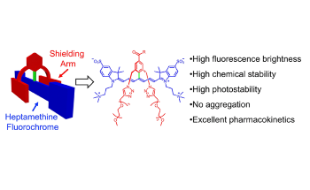 Near-IR Fluorescence Imaging Could be Improved by Stable, Functional Dyes