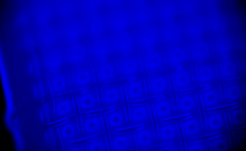 Curtin Discovery Makes Microscopic Imaging Possible in Dark Conditions