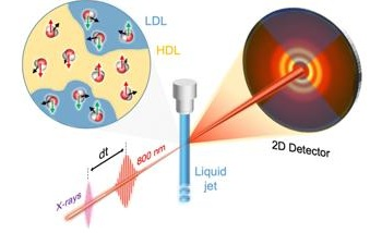Laser Light and X-Rays Help Reveal Water Behaves Like a Two-State Liquid