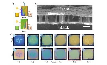 New Optical Device Displays Distinct Colors, Messages Based on Viewing Directions