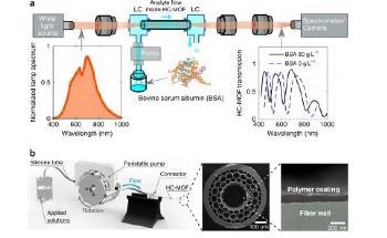 Photonics Meets Surface Science in a Cheap and Accurate Sensor for Biological Liquids