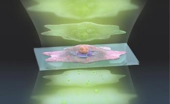 Microscopy Technique Increases Image Clarity by Expanding Dynamic Range