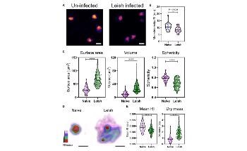 Tomocube Label-Free Holotomography Microscope Opens Up Advanced Platelet Research