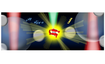 Innovative Raman Spectroscopy to Characterize IDPs Linked to Parkinson’s Disease