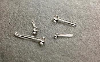 Study: Van Leeuwenhoek Achieved Pioneering Results with Ordinary Lens