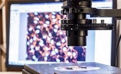 Simple Calibration Strategy Enables Precise STED Imaging at Higher Tissue Depths