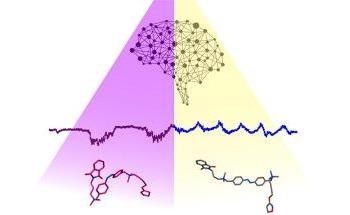 Brain State Transitions are Controlled Using a Light-Responsive Molecule