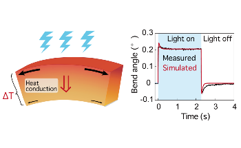Dancing with the Light: A New Way to Make Crystals Bend by Shining Light