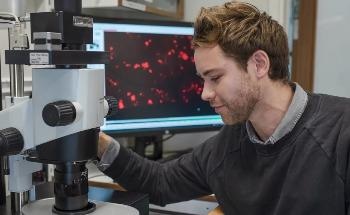 New Technique Enables Human Organs to be Studied with Micrometer Precision